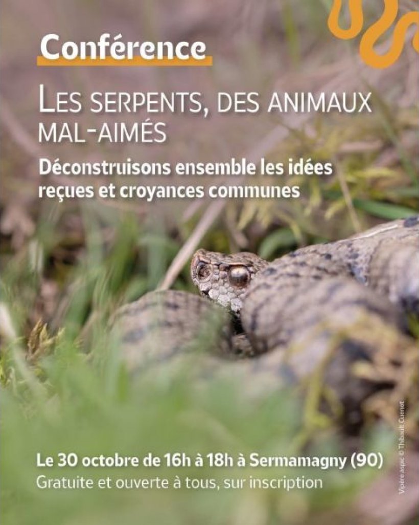Conférence : Les serpents, des animaux mal-aimés