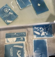 Atelier cyanotype