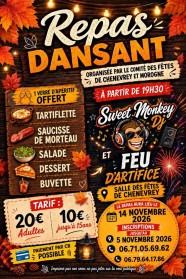Repas dansant et feu d'artifice
