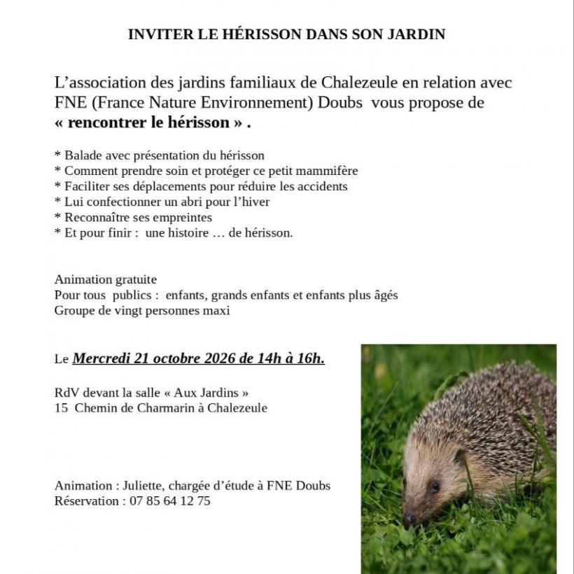 Inviter le hérisson dans son jardin