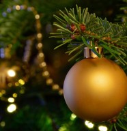 Ateliers : Autour du sapin de Noël