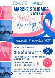 Marche solidaire Octobre rose et novembre bleu