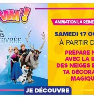 Animation la reine des neiges