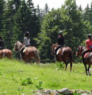 Mini rando à poney avec goûter