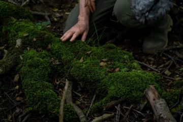 Discussion "Au-delà du champ d'arbre : un autre regard sur la forêt"