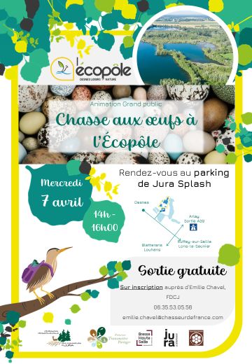 Chasse aux oeufs