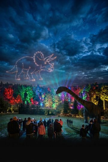 Dinosaures en lumières
