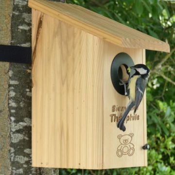 Crée et personnalise ton nichoir à oiseaux !