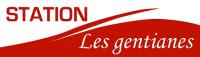 Téléski - Station Les Gentianes