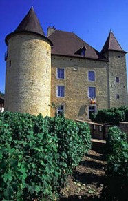 Musée de la Vigne et du Vin