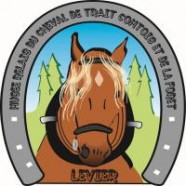 Musée-Relais du Cheval de Trait Comtois et de la Forêt