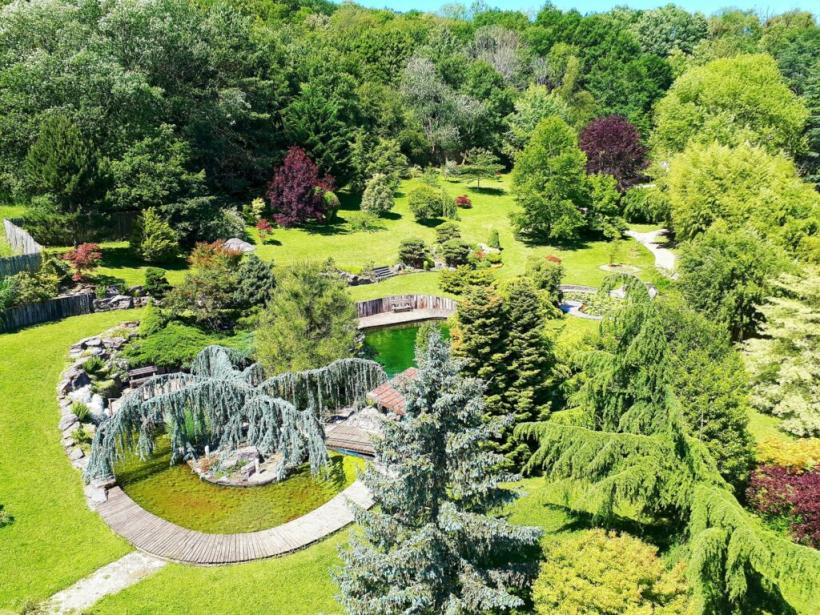 Jardin Aquatique d'Acorus