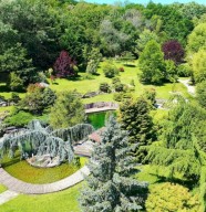 Jardin Aquatique d'Acorus