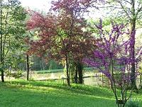 Parc à l'Anglaise La Cude