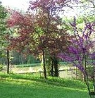 Parc à l'Anglaise La Cude