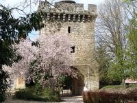 Château Baron Martin