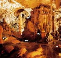 Grotte des Moidons