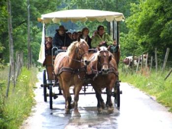 Les Calèches du Saut du Doubs