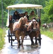 Les Calèches du Saut du Doubs