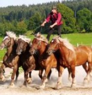 La Joyeuse Bande des Écuries Comtoises
