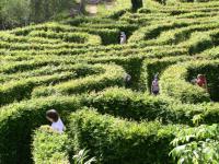 Le Jardin Fantastique