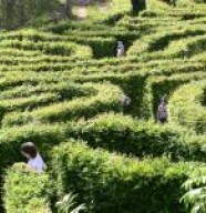 Le Jardin Fantastique