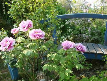 Jardin de Mélimélo