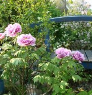 Jardin de Mélimélo
