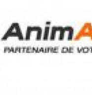 Animaction