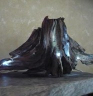 Lumières des bois