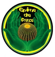 Épine de France
