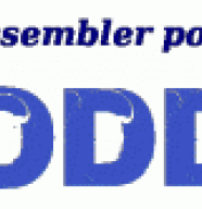 Woodding Organization