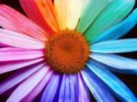 Association Jardins Arc en Ciel