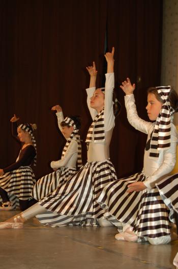 Maison de la Danse - SunDanse