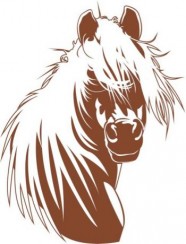 Hippogriffe équitation