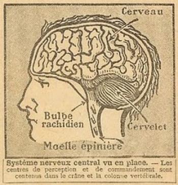 Si t'es pressé, fais un détour