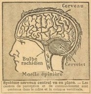 Si t'es pressé, fais un détour