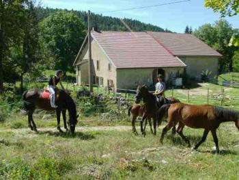 Ferme équestre de La Pelaisse