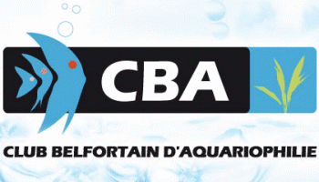 Club Belfortain d'Aquariophilie