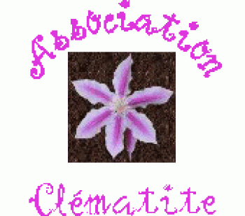 Association Clématite