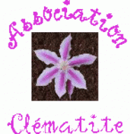 Association Clématite