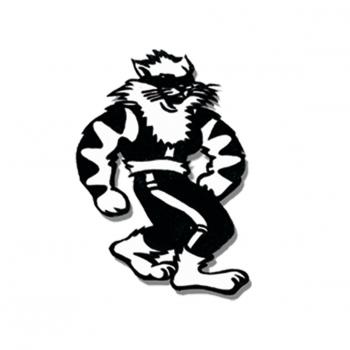 SRB Fitness Club