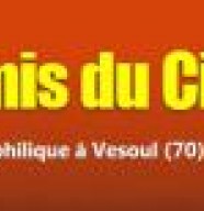 Les Amis du Cinéma