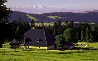 Chalet d'Alpage La Champagne