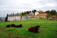 Châtel-Accueil