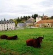 Châtel-Accueil