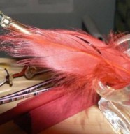 Arts & Plume