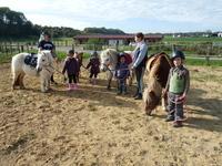 Poney Club Equita-Saône