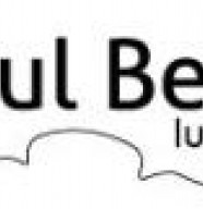 Atelier de Lutherie Paul Beley