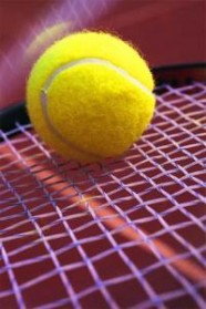 Tennis Club Polinois